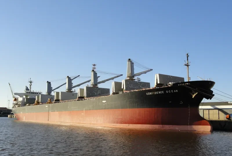 CONFIDENCE OCEAN Bulk Carrier IMO 9145994 photo 7