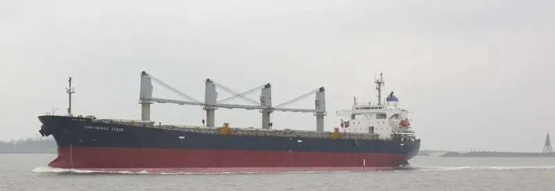 CONFIDENCE OCEAN Bulk Carrier IMO 9145994 photo 8
