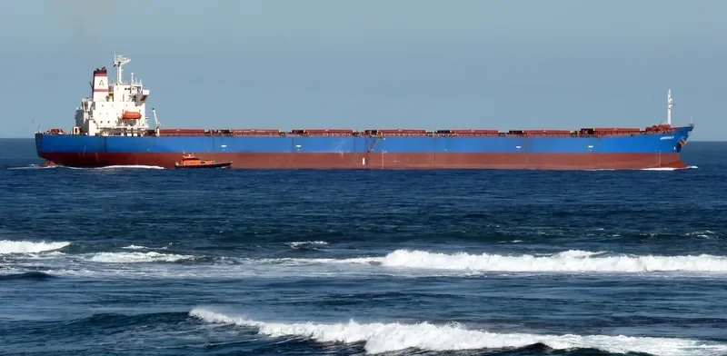BEI LUN HAI 28 Bulk Carrier IMO 9146015 photo 3
