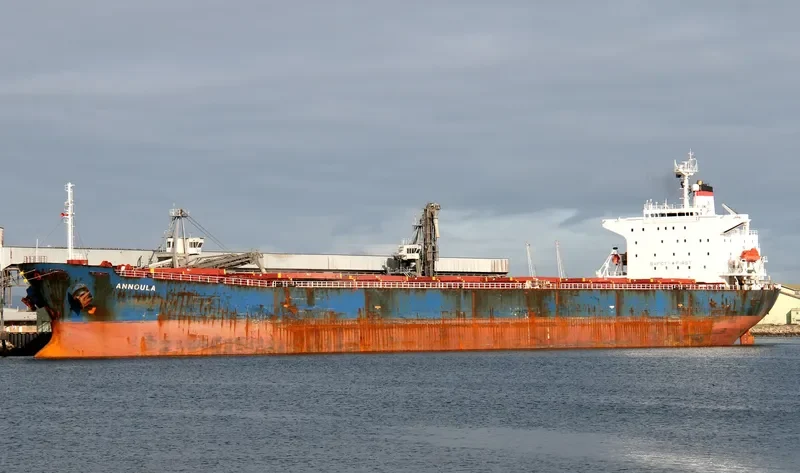 BEI LUN HAI 28 Bulk Carrier IMO 9146015 photo 8