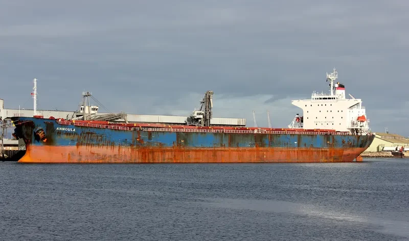 BEI LUN HAI 28 Bulk Carrier IMO 9146015 photo 9