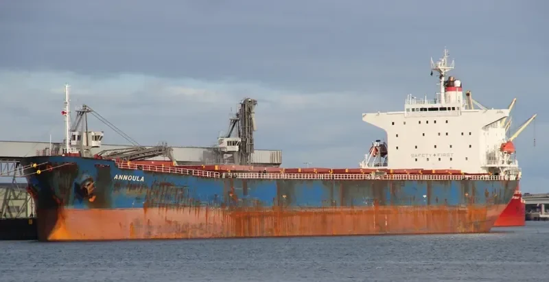 BEI LUN HAI 28 Bulk Carrier IMO 9146015 photo 10