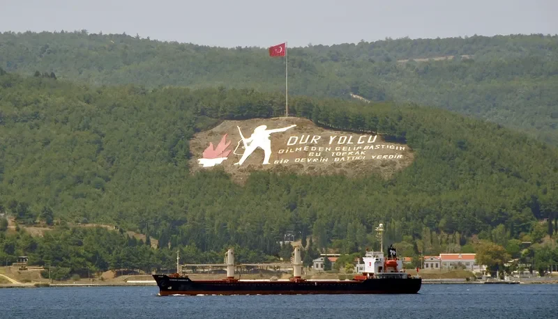 DIAMOND CANAKKALE Bulk Carrier IMO 9146118 photo 4
