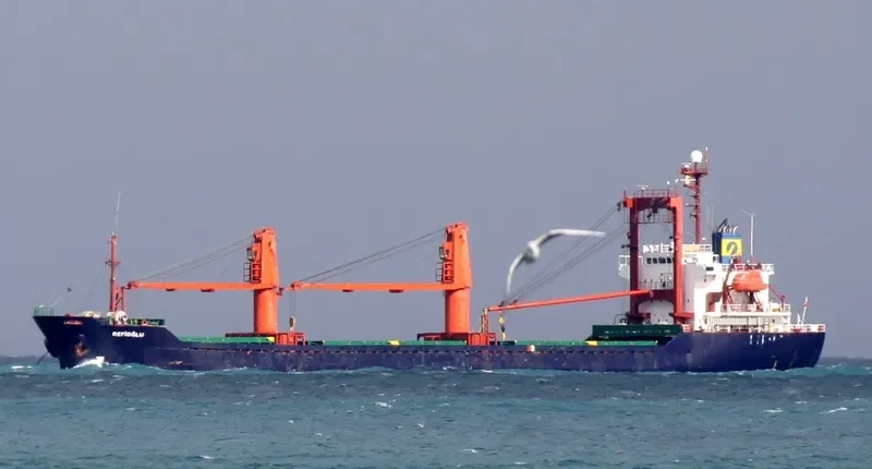 DIAMOND CANAKKALE Bulk Carrier IMO 9146118 photo 9