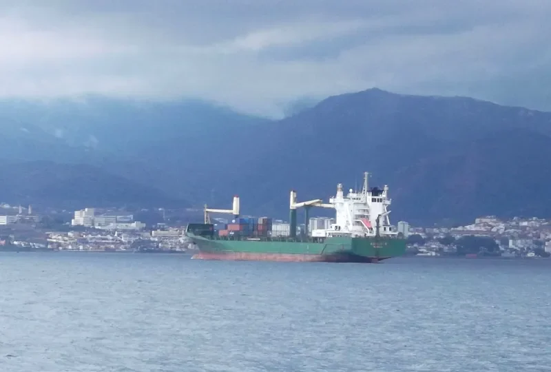 AGGELIKI P. Container Ship IMO 9146302 photo 34