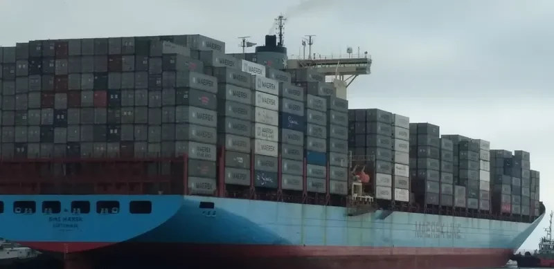 SINE MAERSK Container Ship IMO 9146455 photo 6