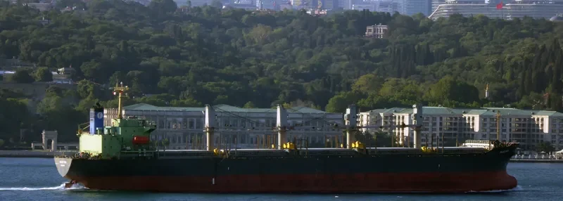 SEA ALICE Bulk Carrier IMO 9146558 photo 2