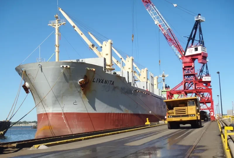 SEA ALICE Bulk Carrier IMO 9146558 photo 5