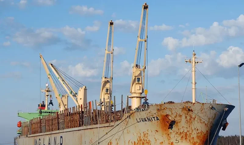 SEA ALICE Bulk Carrier IMO 9146558 photo 6