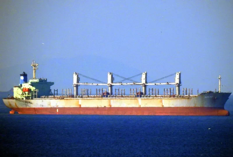 SEA ALICE Bulk Carrier IMO 9146558 photo 9
