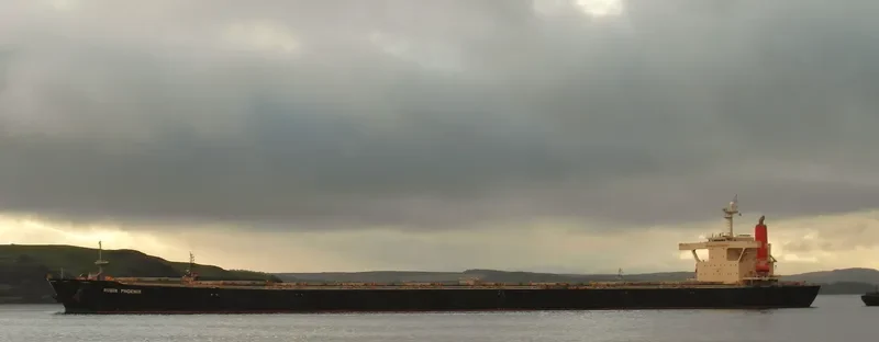 RUBIN PHOENIX Bulk Carrier IMO 9146584 photo 6