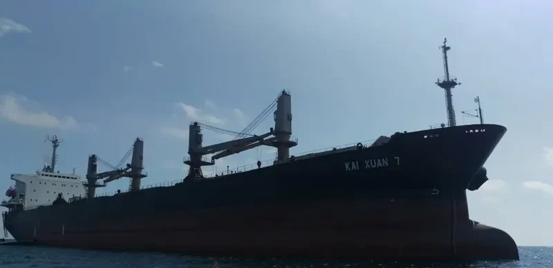 FOREVER HAPPY Bulk Carrier IMO 9146613 photo 2