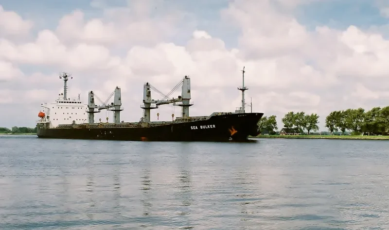 FOREVER HAPPY Bulk Carrier IMO 9146613 photo 4