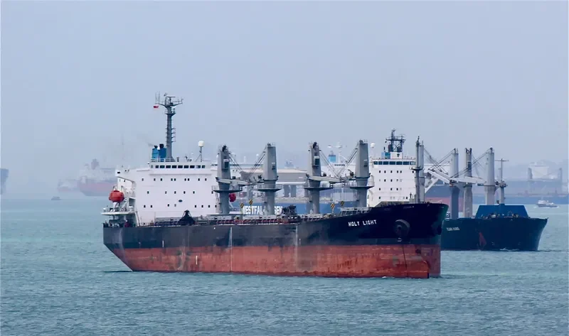 FOREVER HAPPY Bulk Carrier IMO 9146613 photo 7