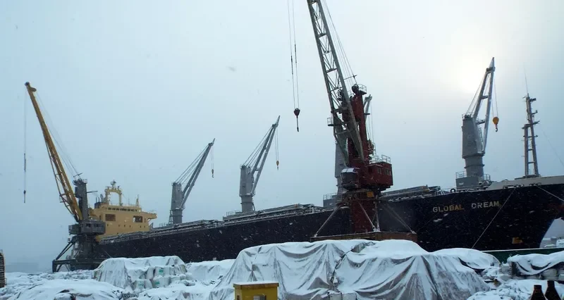 GLOBAL DREAM Bulk Carrier IMO 9146716 photo 2