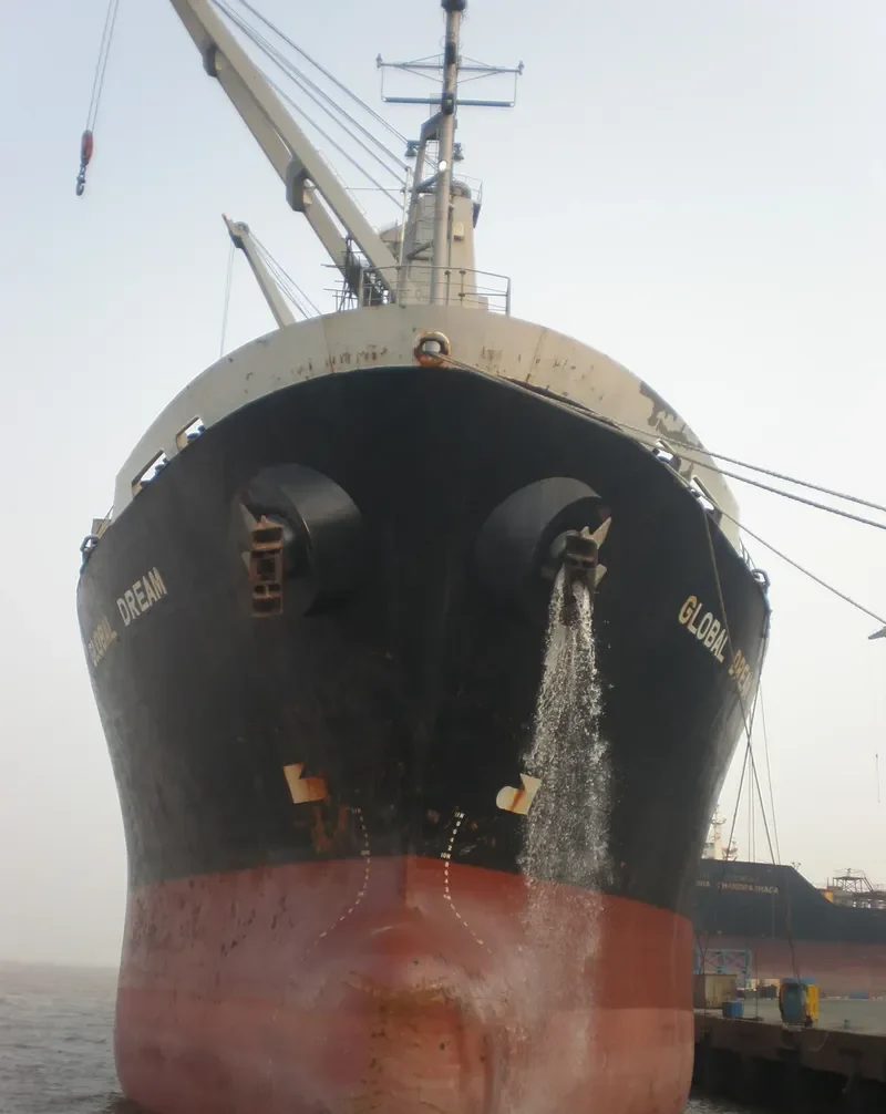 GLOBAL DREAM Bulk Carrier IMO 9146716 photo 5