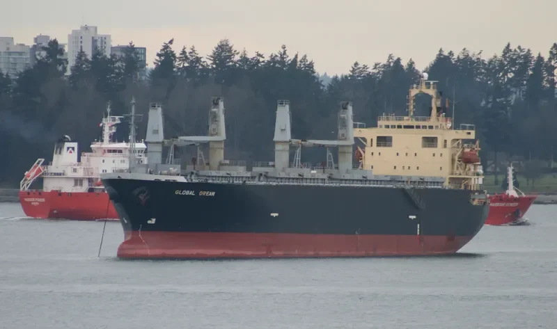 GLOBAL DREAM Bulk Carrier IMO 9146716 photo 7
