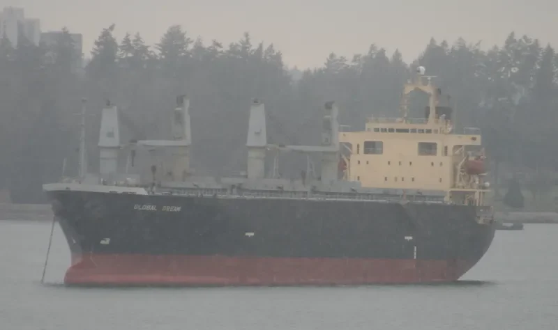 GLOBAL DREAM Bulk Carrier IMO 9146716 photo 8