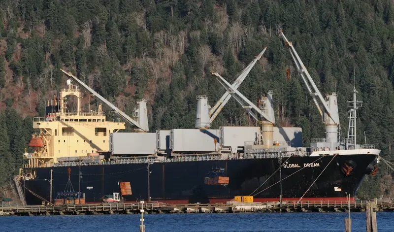 GLOBAL DREAM Bulk Carrier IMO 9146716 photo 9