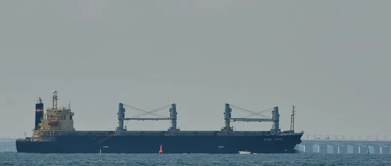 GLOBAL DREAM Bulk Carrier IMO 9146716 photo 10