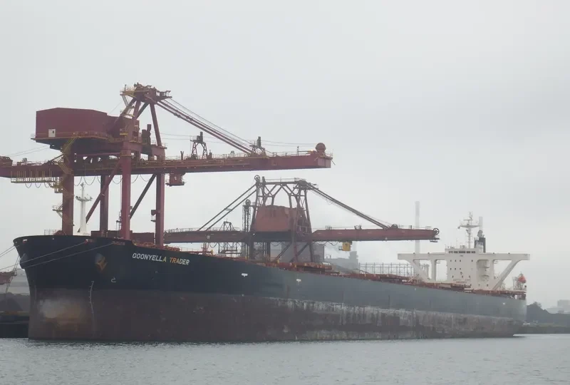 ELLA Bulk Carrier IMO 9146730