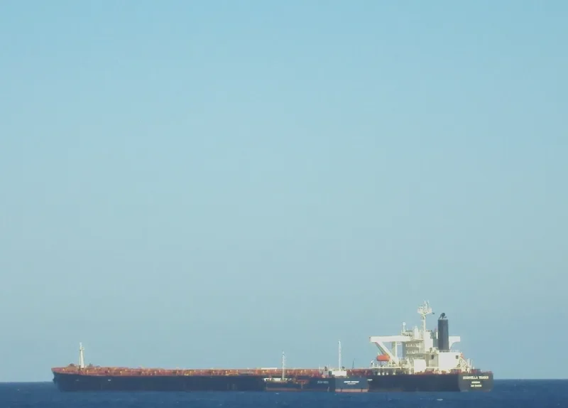 ELLA Bulk Carrier IMO 9146730 photo 6