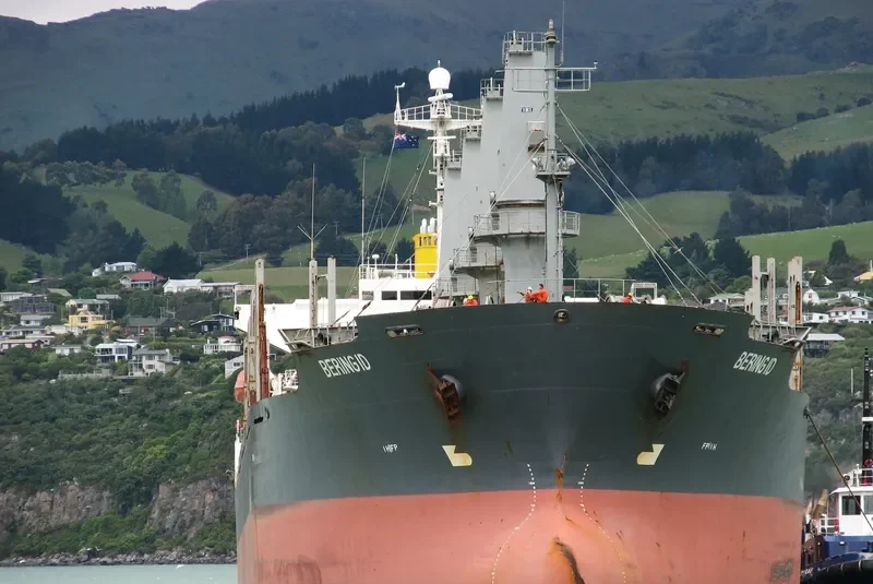 TIVOLI Bulk Carrier IMO 9146807 photo 9