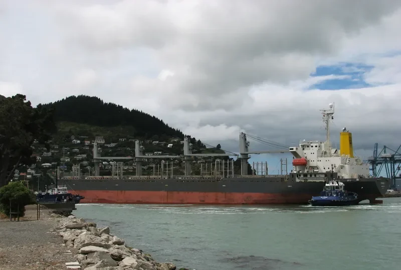 TIVOLI Bulk Carrier IMO 9146807 photo 10