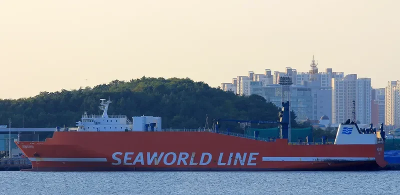 SEAWORLD MARINE Ro-Ro IMO 9146871 photo 6