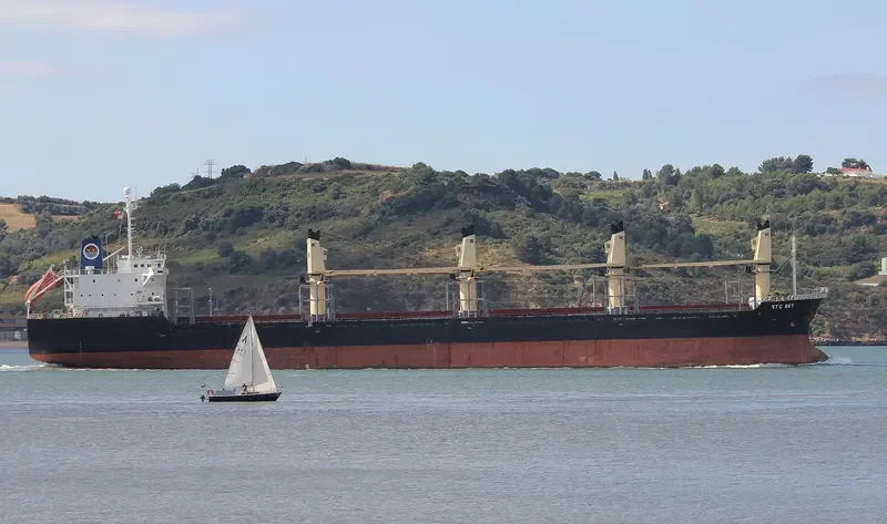 GOLDEN STAR Bulk Carrier IMO 9146900 photo 7