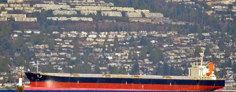 MYOKEN Bulk Carrier IMO 9146936 photo 3
