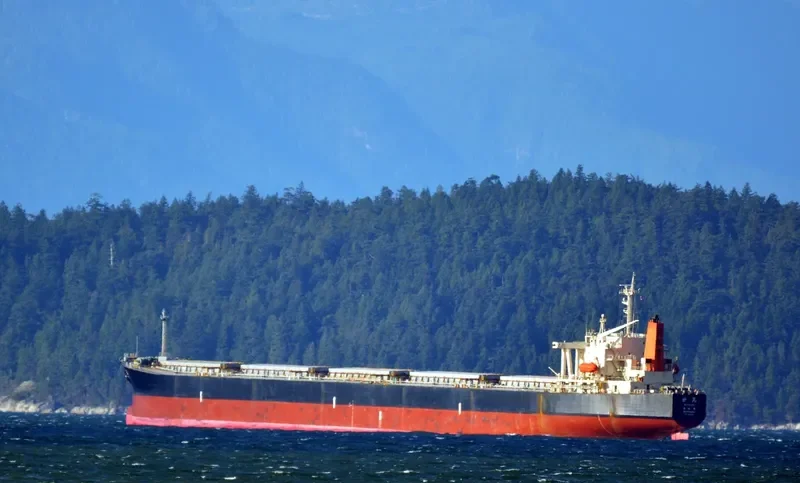MYOKEN Bulk Carrier IMO 9146936 photo 4