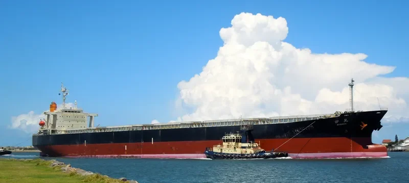 MYOKEN Bulk Carrier IMO 9146936 photo 6