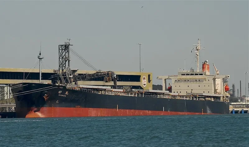 MYOKEN Bulk Carrier IMO 9146936 photo 8
