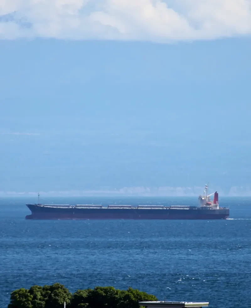 MYOKEN Bulk Carrier IMO 9146936 photo 10
