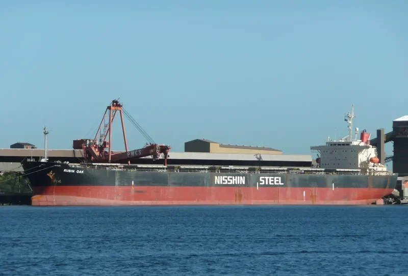 RUBIN OAK Bulk Carrier IMO 9146948 photo 5
