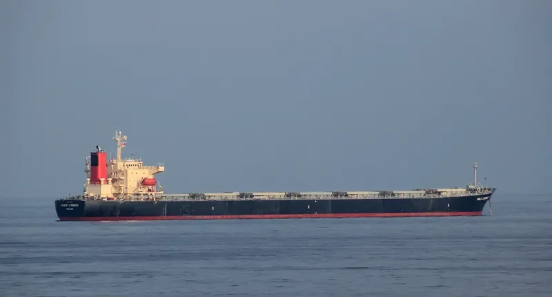 MINOAN FLAME Bulk Carrier IMO 9147423 photo 7