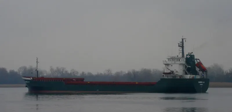 GABRIELA H Bulk Carrier IMO 9147863
