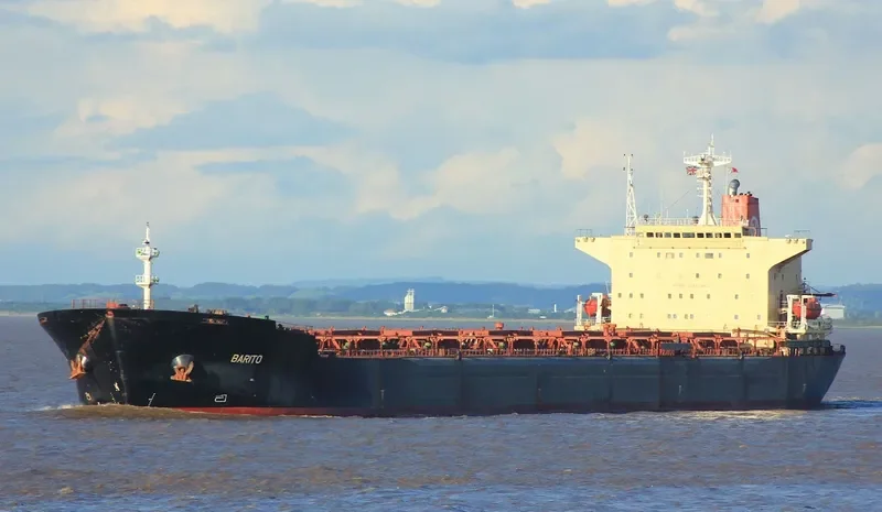 KG BARITO Bulk Carrier IMO 9147899 photo 8