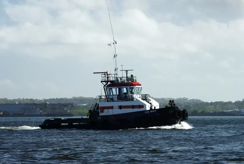 SEA WOLF A General Cargo IMO 9147930 photo 2