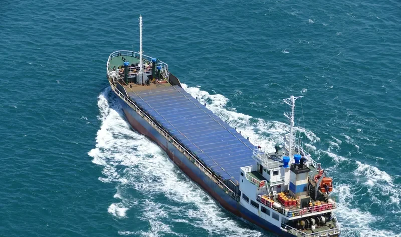 ALLIANCE NO.2 General Cargo IMO 9148013 photo 8
