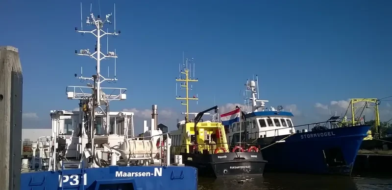 P 31 General Cargo IMO 9148398