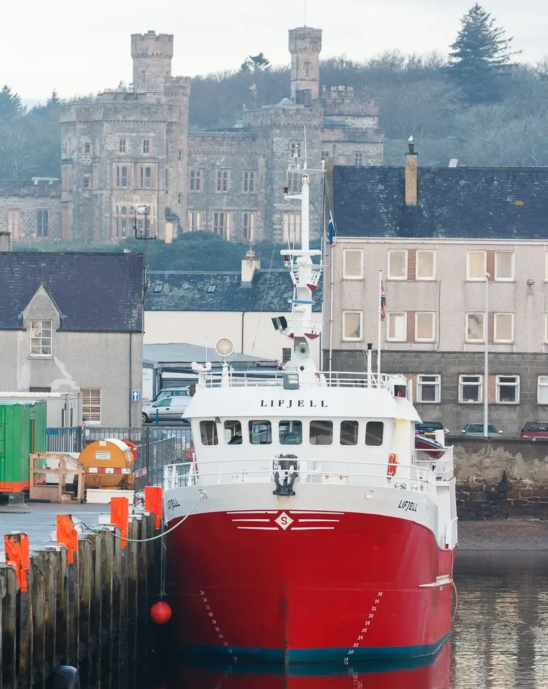 VIKING JUNIOR General Cargo IMO 9148441 photo 3