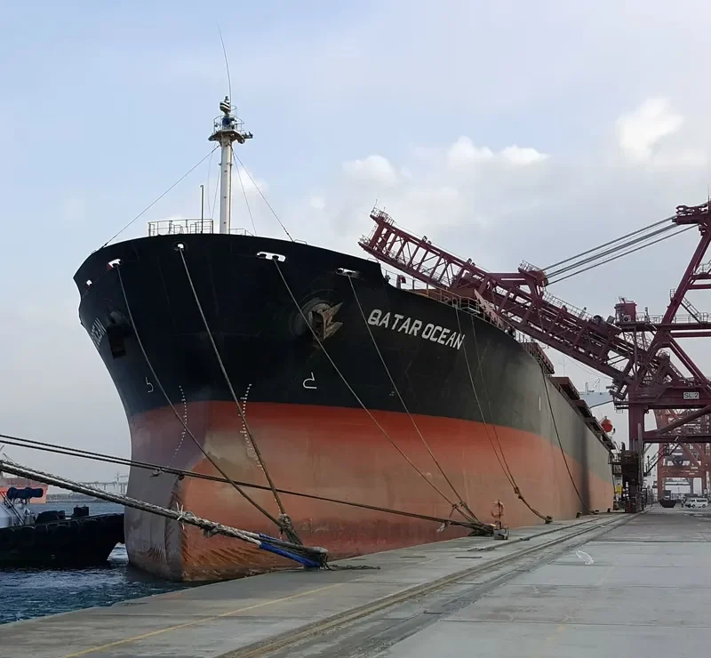 LILY BREEZE Bulk Carrier IMO 9149017
