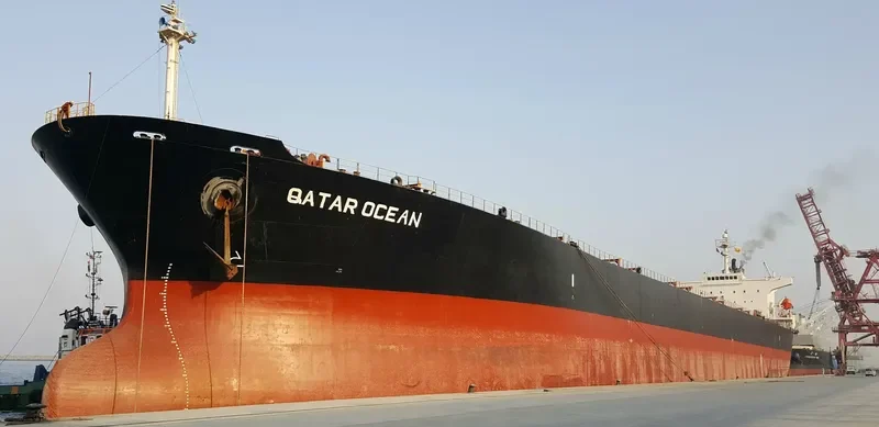 LILY BREEZE Bulk Carrier IMO 9149017 photo 2