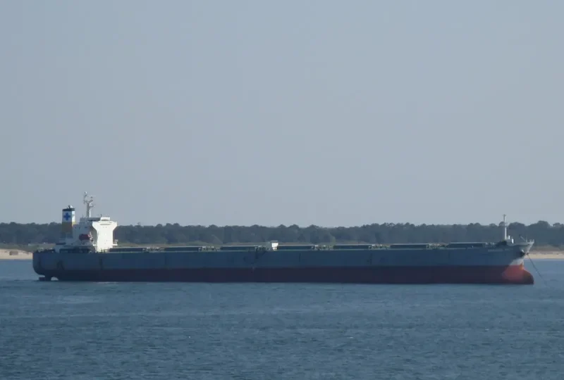 LILY BREEZE Bulk Carrier IMO 9149017 photo 5