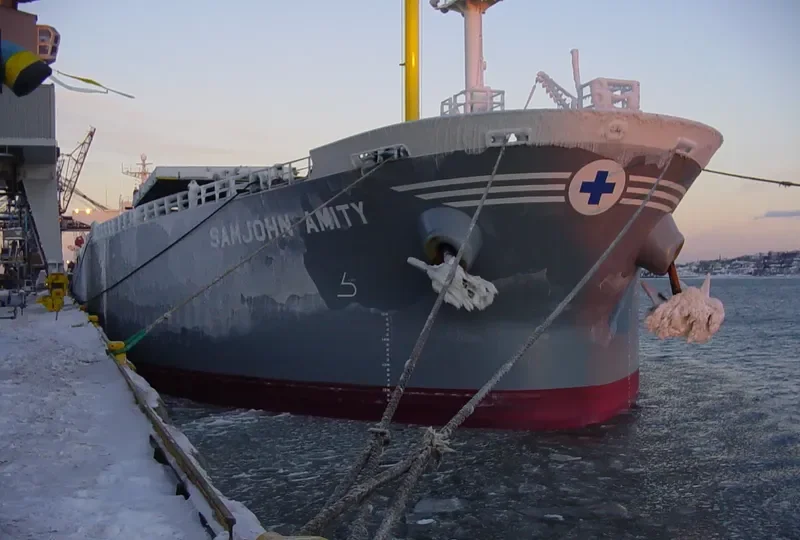 LILY BREEZE Bulk Carrier IMO 9149017 photo 7