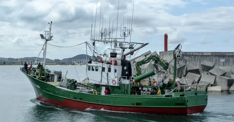 BERRIZ MATUTINA General Cargo IMO 9149108 photo 9
