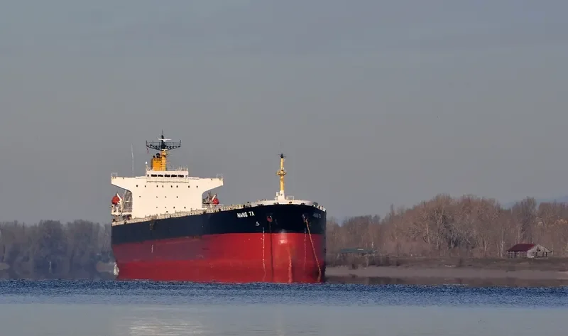 HANG TA Bulk Carrier IMO 9149354 photo 2