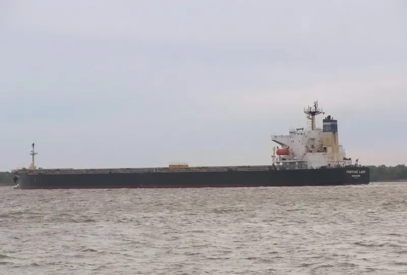 FORTUNE LADY Bulk Carrier IMO 9149366 photo 2